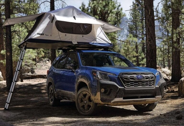 Forester Wilderness