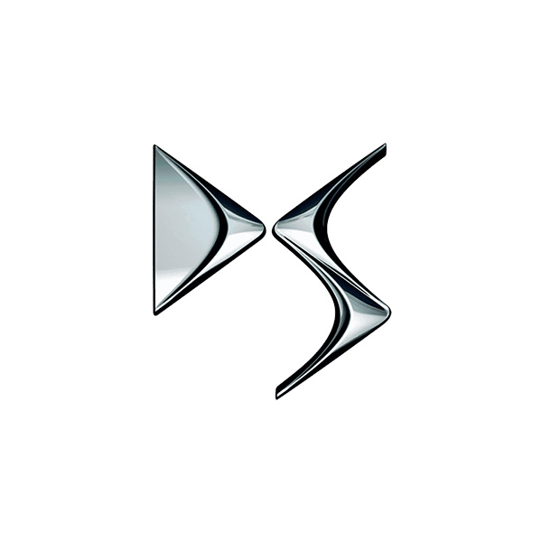 دي اس