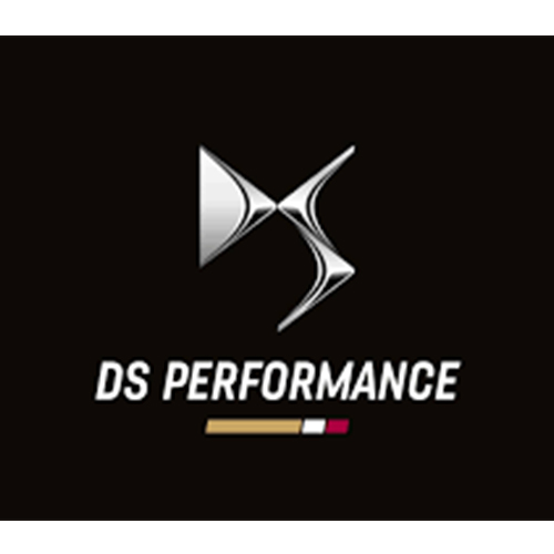 دي اس sport logo