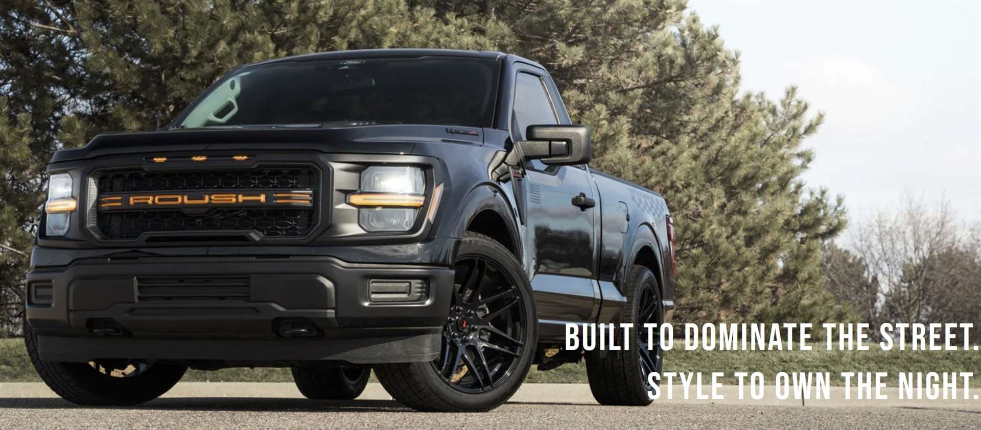 فورد F-150 تتحول الي وحش طرق بلمسة روش الجريئة 1 فورد F-150 تتحول الي وحش طرق بلمسة روش الجريئة - عرب اوتو هب